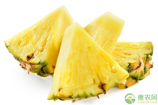 菠蘿高產(chǎn)種植技術(shù)管理要點(diǎn)